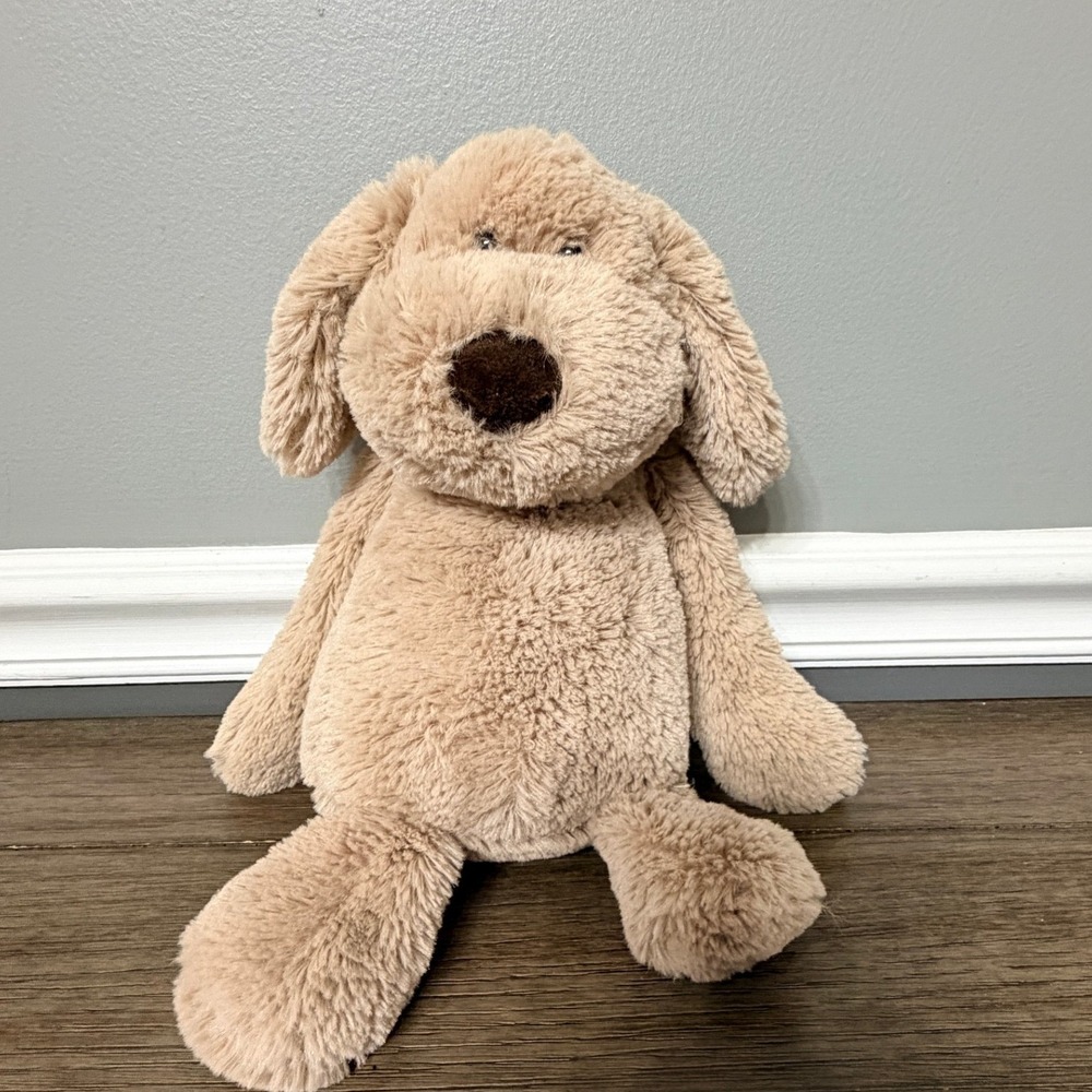 Aurora Dexter The Huggable Dog Plush Floppy Ears Shaggy Stuffed Animal Toy